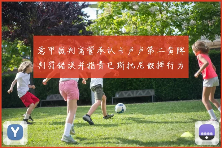 意甲裁判高管承认卡卢卢第二黄牌判罚错误并指责巴斯托尼假摔行为